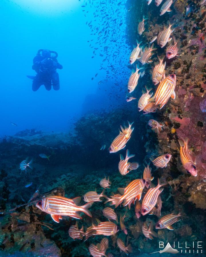 Hydronauts Diving Resort - Ko Tao Eksteriør bilde