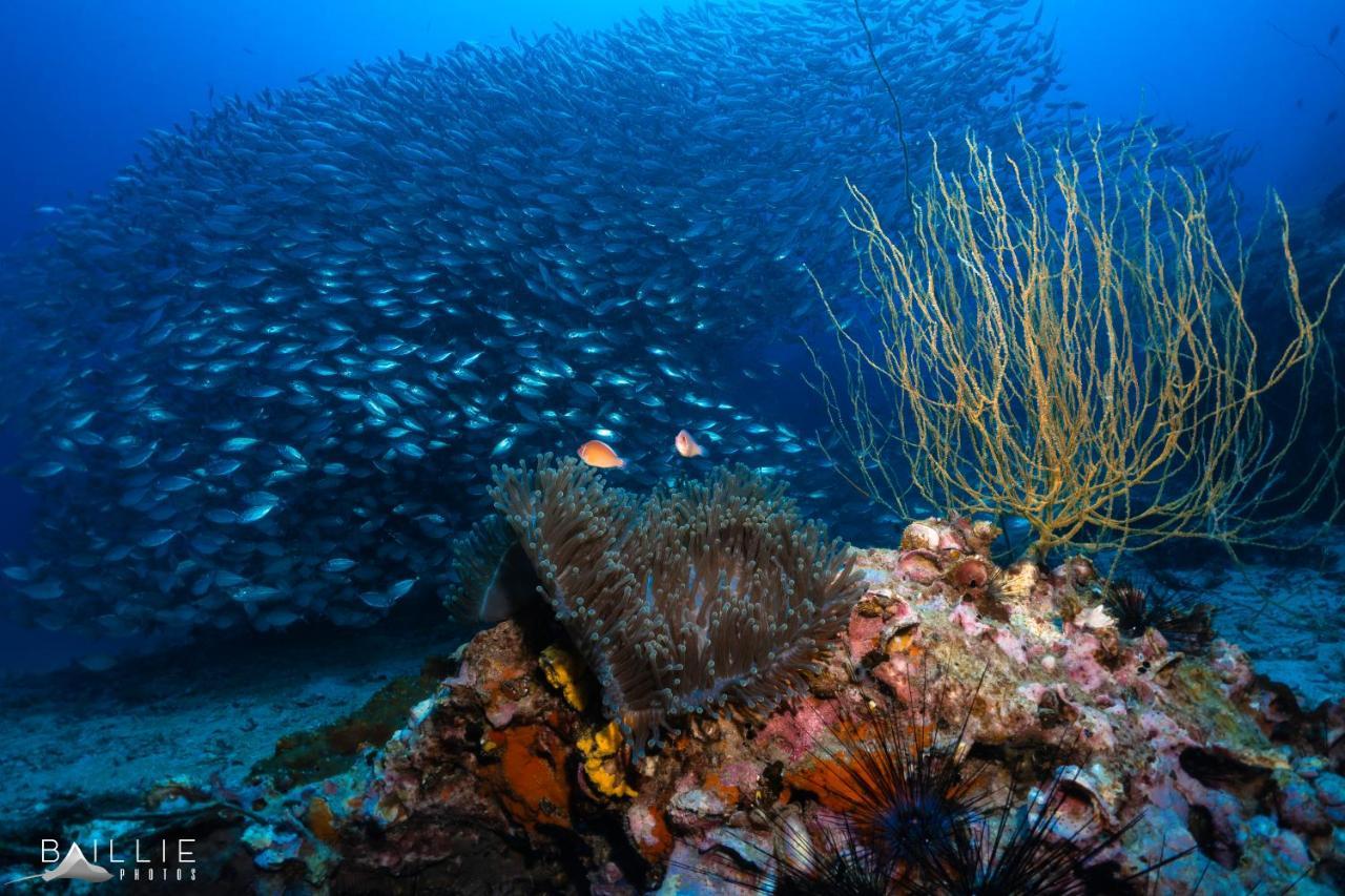 Hydronauts Diving Resort - Ko Tao Eksteriør bilde